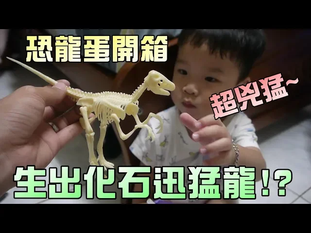 恐龍蛋開箱!迅猛龍化石動起來啦!大嘴嘴